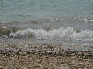 DSC00602.JPG